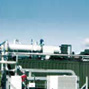 Biogas Utilization