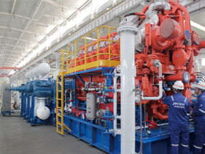 Underground Natural Gas Storage of Lake Tuz in Turkey